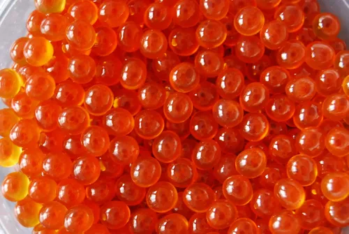 Vista 6 de Caviar Rojo Salmón, Huevas Chum Premium 2.2 lb 35.27 oz