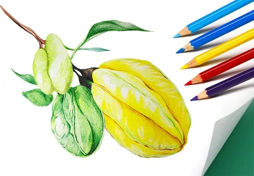 Vista 5 de SKKSTATIONERY 50 lápices de colores, embalaje en lata, 50 colores vibrantes, lápices de dibujo para el regreso a la escuela, bocetos, artes, libros