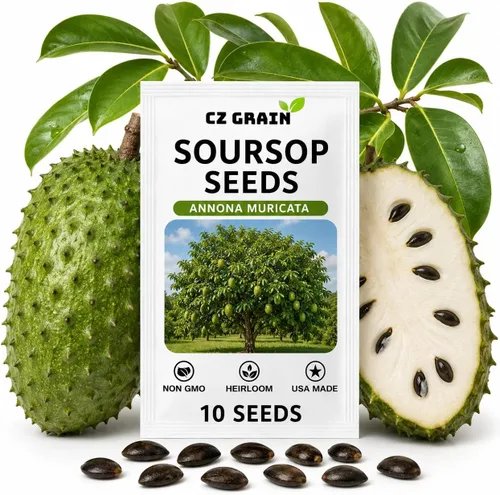 Vista 14 de CZ GRAIN Semillas de árboles exóticos para plantar (Baobab - 5 semillas)
