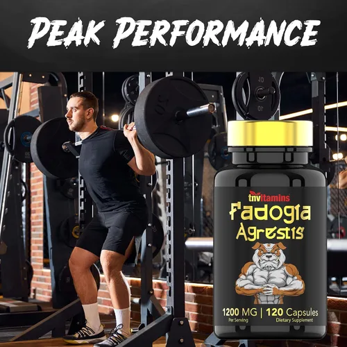 Vista 4 de Fadogia Agrestis: 1200 mg - 120 cápsulas Suplemento de extracto de Fadogia Agrestis ultra potente para hombres Energía, potencia, fuerza