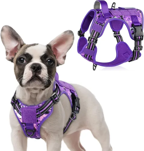 Vista 71 de rabbitgoo Arnés táctico para perros pequeños, chaleco de servicio militar sin tirones con asa y Molle, de fácil control para entrenar y caminar