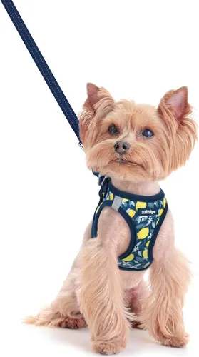 Vista 118 de rabbitgoo Arnés para perro de tamaño pequeño y juego de correa, chaleco Cachorros de manzana