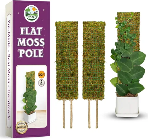 Vista 18 de DUSPRO Poste de musgo de malla apilable para plantas trepadoras, soporte de enredadera Monstera, para plantas de interior, palo extensible para 2
