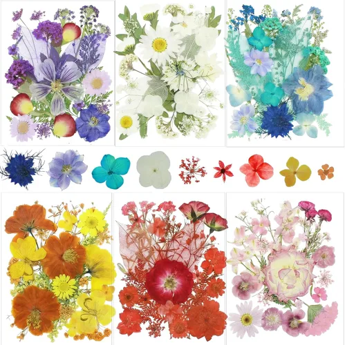 Vista 10 de Kit de 140 hojas de flores secas prensadas para moldes de resina y Blanco Amarillo 140pcs
