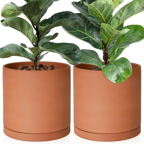 Vista 18 de D'vine Dev Maceta de Terracota Extra Pequeña de 4 Pulgadas con Orificio de Drenaje y Platillo, Maceta Cilíndrica Redonda para Plantas