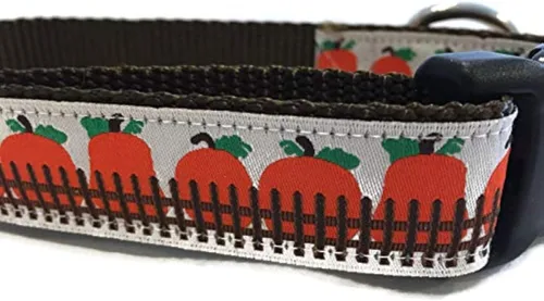 Vista 2 de Collar de perro de otoño, Caninedesign, otoño, 1 pulgada de ancho, ajustable, nailon, mediano y grande (zorro de 5/8 pulgadas, 9-13 pulgadas)