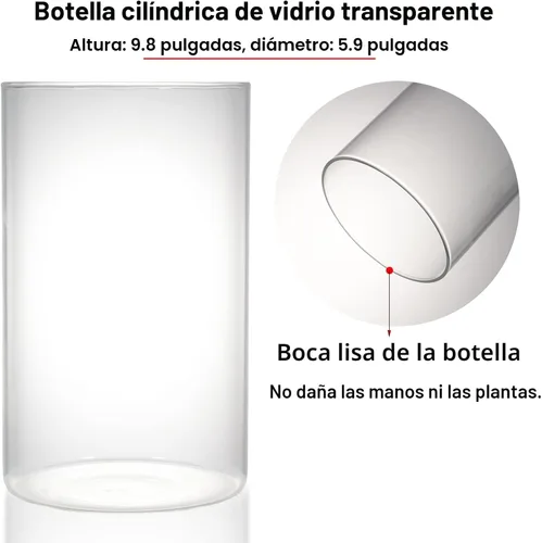 Vista 5 de Terrario de Vidrio de Escritorio con Luz de Crecimiento (Altura: 9.8" Diámetro: 5.9"), para Suculentas, Musgo, Jardinería en Miniatura, Acuario
