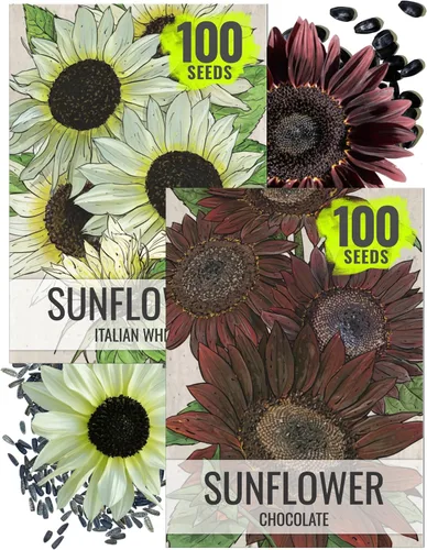 Vista 18 de Seed Needs - Semillas de Capuchina para Plantar Flores Comestibles - Juego de Colección de Mezcla Joya y Capuchinas de Doble Brillo para Atraer