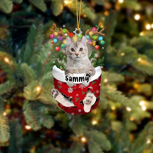 Vista 7 de Adorno personalizado de gato de rizo americano, adorno personalizado con nombre de mascota, colgante acrílico plano impreso en 2D, Papá Noel y gato
