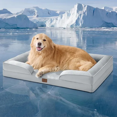 Vista 79 de Bedsure - Cama para gatos de interior, sofá cama lavable para perros muy pequeños, espuma de soporte con funda extraíble y lavable, forro Gris