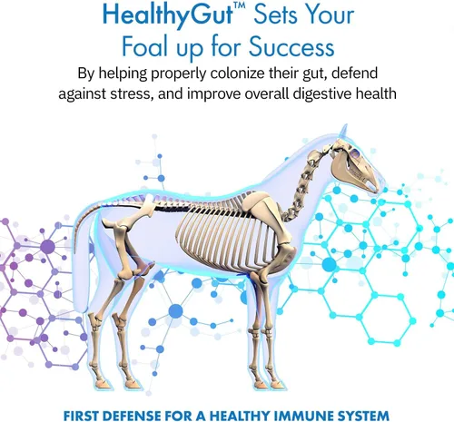 Vista 2 de HealthyGut - Kit de potro para caballos, suplemento dietético, fórmula totalmente natural (0.49 oz)