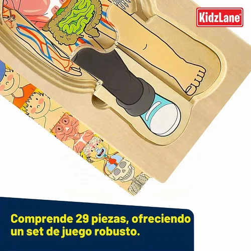 Vista 5 de Kidzlane Boy Wooden My Body Puzzle for Toddlers & Kids - 29 Piece Boys Anatomy Puzzle Kid Play Set - Anatomy for Kids, Skeleton Toys for Children