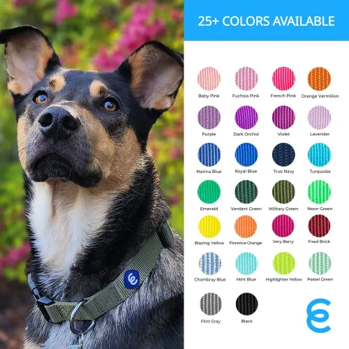 Vista 5 de Blueberry Pet Essentials - Collar clásico para perro, 21 colores, color gris pedernal, tamaño XS, cuello de 8 a 11 pulgadas, collares para perros