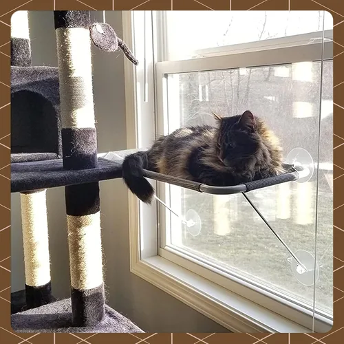 Vista 7 de Percha de seguridad para ventana de gato, con soporte inferior de 360 °, para cualquier gato