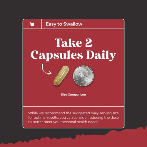 Vista 8 de Paquete de complejo de extracto de maleza de cabra cachonda y suplemento energizante de óxido nítrico para hombres - con Tribulus Saw Palmetto L