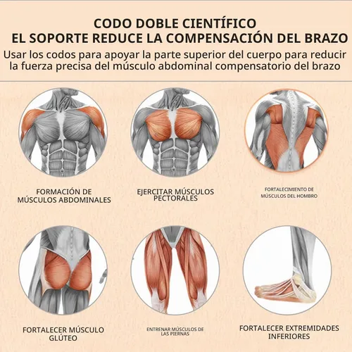 Vista 2 de Uota Rueda abdominal de rebote automático con soporte para codo,Rodillo abdominal para máquina de ejercicio abdominal,Equipo de entrenamiento