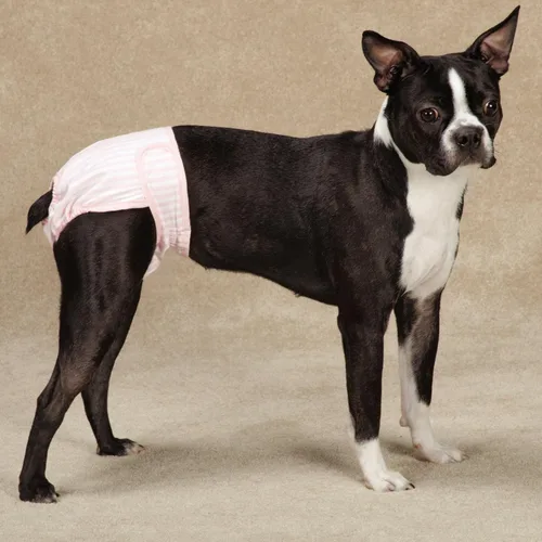 Vista 3 de ClearQuest Pañales para perros que protegen la humedad y las manchas, paquete de 2 Negro/Rosa