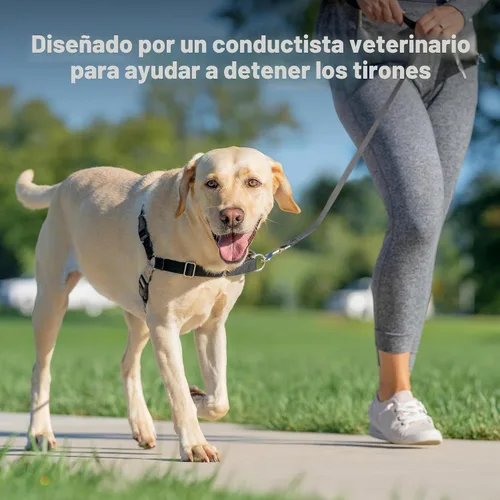 Vista 2 de Arnés de paseo fácil de PetSafe, Negro/Plateado Patented Martingale Loop Gives Gradual Shoulder Pressure to Stop Pulling, Front-Chest Leash Clip