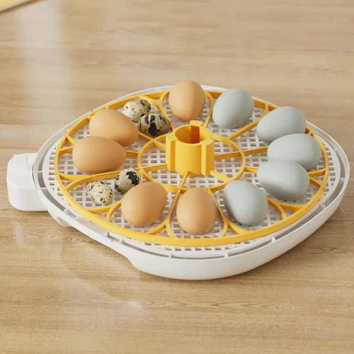 Vista 2 de Incubadora automática de 12 huevos con control de humedad con girador de huevos, incubadora ventilada para eclosionar huevos de pollo y codorniz, US