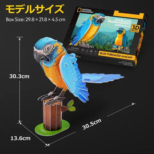Vista 4 de ASSYME DS1097h Macaw Papercraft, No Glue Tools, Elementary School Students, Craft Kit, Easy for Ages 8 and Up
