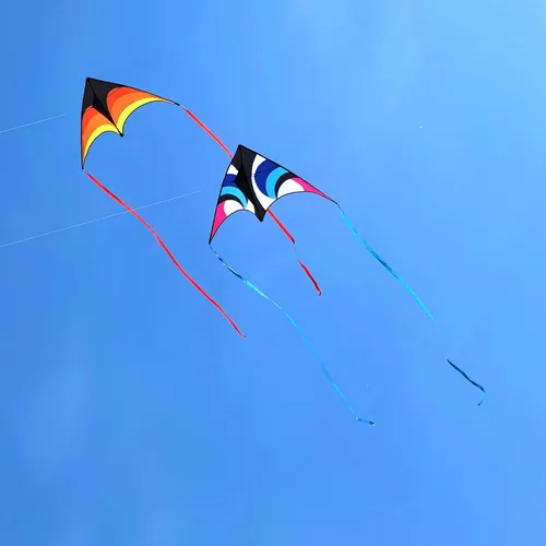Vista 6 de Delta Kite para niños y adultos, fácil de volar, cometa de playa grande de una sola línea con mango de cuerda de 300 pies incluido, perfecta