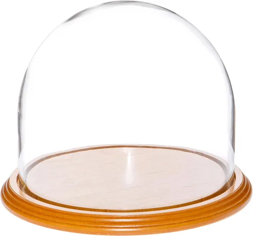 Vista 7 de Plymor Cúpula de cristal de 8 x 6.5 pulgadas (base de madera MDF negra)