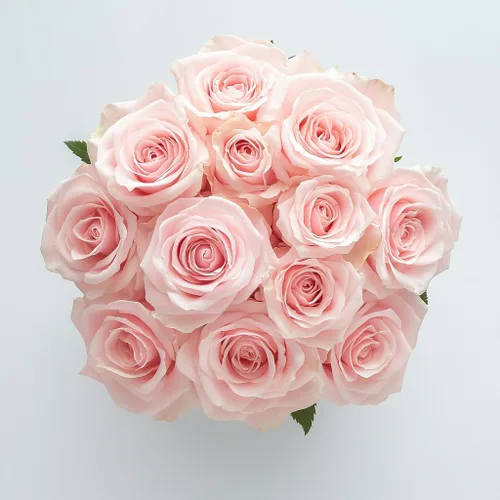 Vista 21 de GlobalRose Ramo de 50 rosas surtidas, rosas de origen responsable, flores frescas, ramo fresco de flores seleccionadas a mano para el día