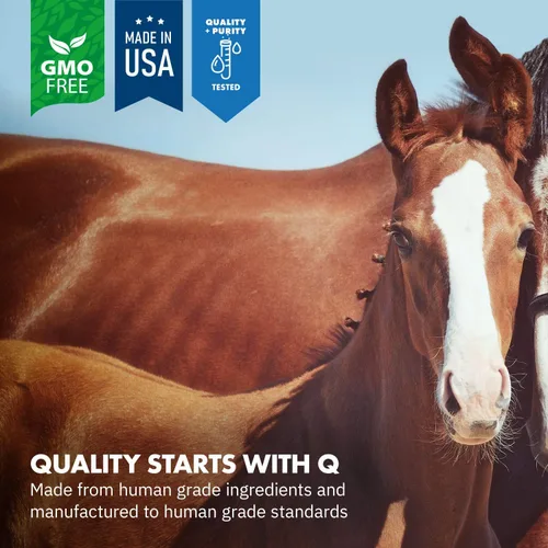 Vista 3 de HealthyGut - Kit de potro para caballos, suplemento dietético, fórmula totalmente natural (0.49 oz)