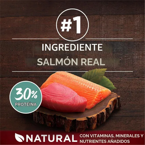 Vista 3 de Purina ONE True Instinct con salmón real y atún natural con vitaminas, minerales y nutrientes añadidos, fórmula seca de alimentos para perros