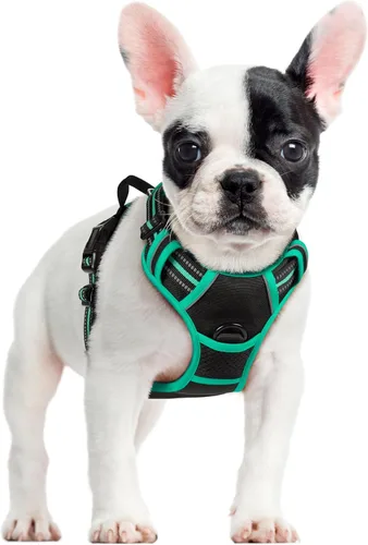 Vista 130 de Rabbitgoo - Arnés para perros sin tirón con 2 clips de correa, chaleco Oxford reflectante acolchado suave ajustable sin estrangulamiento