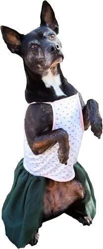 Vista 6 de Midlee Vestido para perro grande con tutú rosa rosa (XXL)