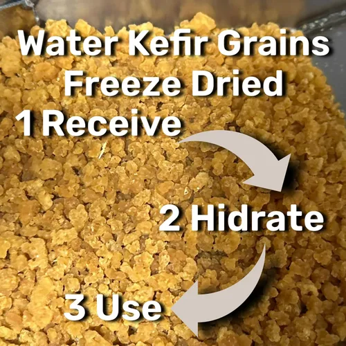 Vista 2 de Polvo de bebida probiótica fermentada de granos de kéfir de agua deshidratada para una salud intestinal más fuerte El iniciador de reliquia ofrece