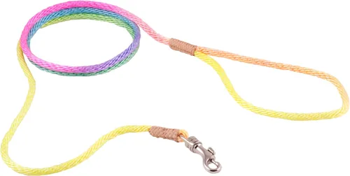 Vista 221 de Alvalley Correa para perros estilo broche – Correa de nailon estilo broche para perros – Fácil de manejar – Perfecto para perros pequeños, medianos