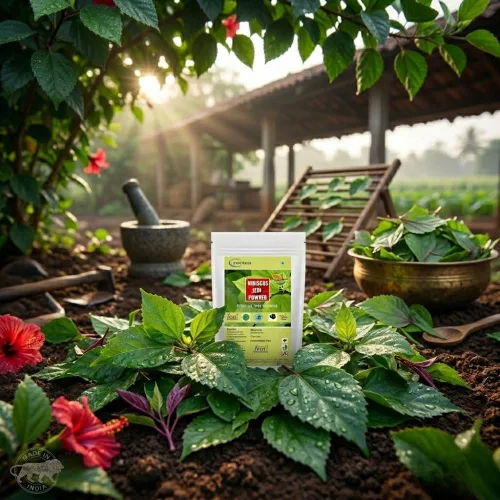 Vista 4 de neotea hibisco hoja en polvo, 300g