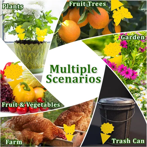 Vista 3 de Landisun Trampas para moscas de fruta, 48 unidades, trampas para mosquitos de hongos para interiores y exteriores, trampas adhesivas para moscas