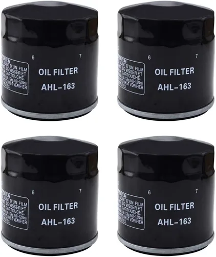 Vista 6 de AHL 163 - Filtro de aceite para BMW R850C Euro 850 2000 2001