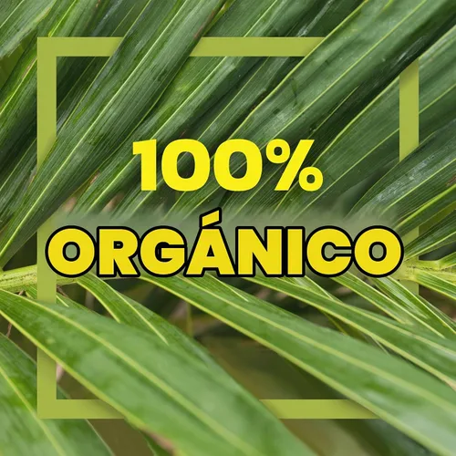 Vista 4 de Native Forest - Leche de coco en polvo, bolsas de 5.25 onzas (paquete de 6)