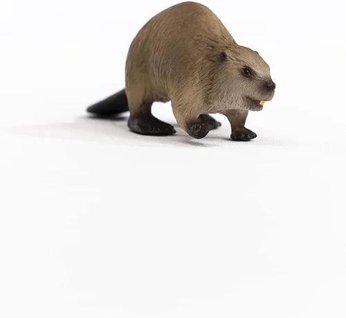 Vista 6 de Schleich Wild Life, North American Woodland Juguetes de animales salvajes para niños, figura de juguete de castor, a partir de 3 años