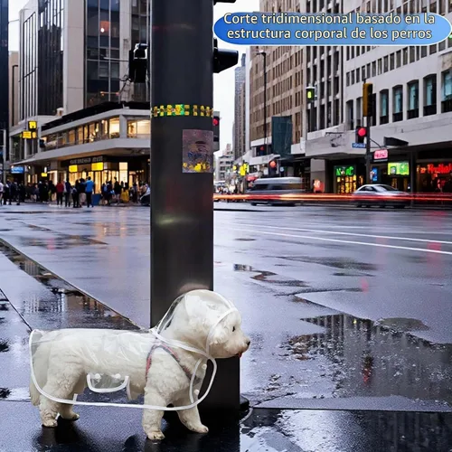 Vista 9 de Poncho de lluvia transparente para perros pequeños y medianos, impermeable pesado con agujero oculto para la correa y broches ajustables, capa