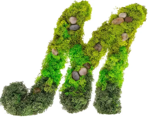 Vista 6 de Iniciales de monograma preservadas Moss Letter Art Design & Decor Arreglo de pared - Personalízalo
