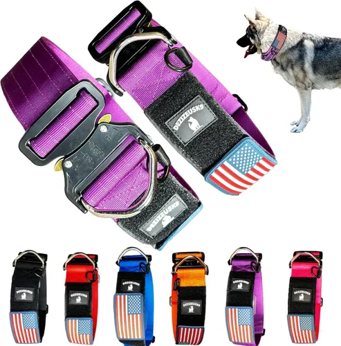 Vista 11 de Collar táctico para perros de 2 pulgadas de ancho con hebilla de metal de NEGRO-COBD2