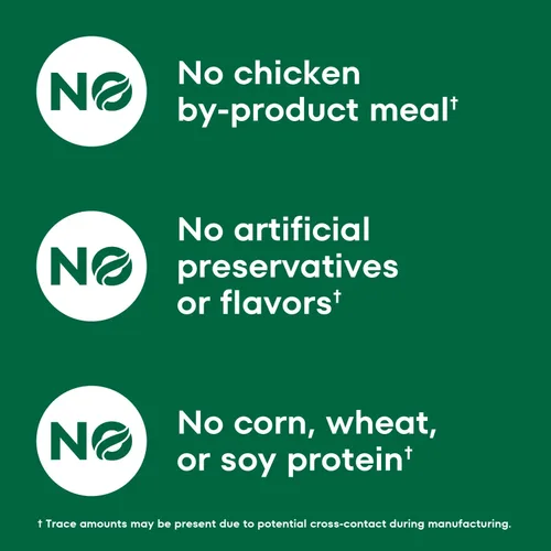 Vista 6 de Nutro Wholesome Essentials - Alimento seco natural para gatos, receta de estómago, pollo, arroz y guisantes, croqueta para gatos, bolsa de 3 libras