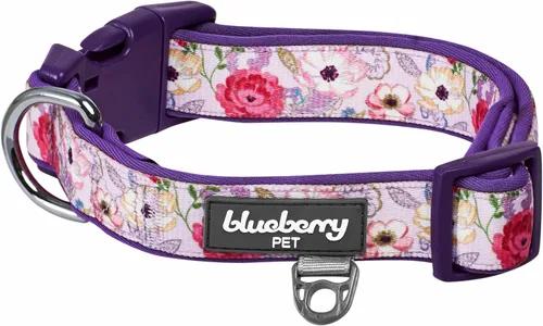 Vista 10 de Blueberry Pet - Collar ajustable para perro con forma de diamantes tribales del sudoeste en francés rosa con hebilla de metal, cuello 9-12.5