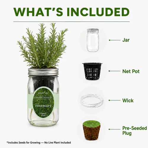 Vista 4 de Kit de cultivo hidropónico de hierbas Environet, kit de inicio de jardín de hierbas en tarro de vidrio Mason para interiores, jardín de hierbas