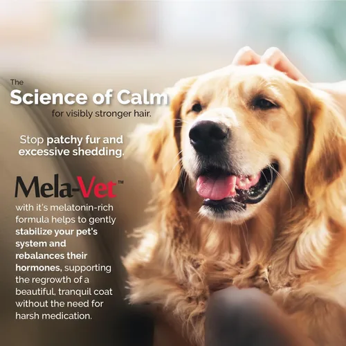 Vista 3 de Melatonina Calmante Masticables suaves para perros, formulados por veterinarios para proporcionar relajación y alivio de la ansiedad, ayuda a
