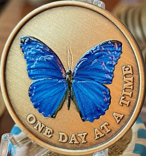 Vista 3 de Mariposa de color azul un día a la vez Medallón serenidad oración bronce chip