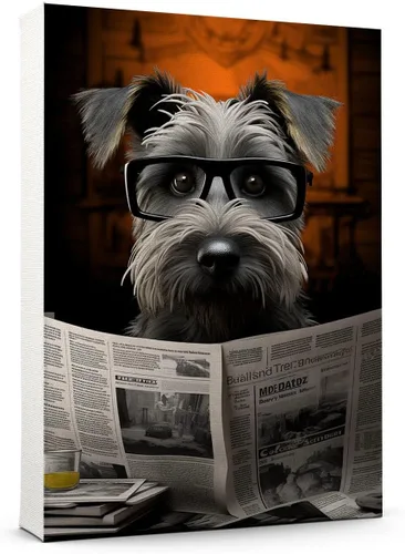 Vista 84 de Thuan Affenpinscher - Póster de lienzo con tus fotos, arte de pared para decoración del hogar, regalo conmemorativo para amantes de las mascotas