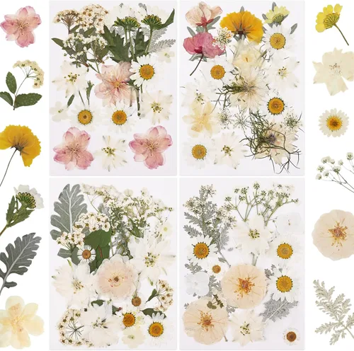 Vista 10 de 412 piezas de flores secas para manualidades, flores secas de naturaleza