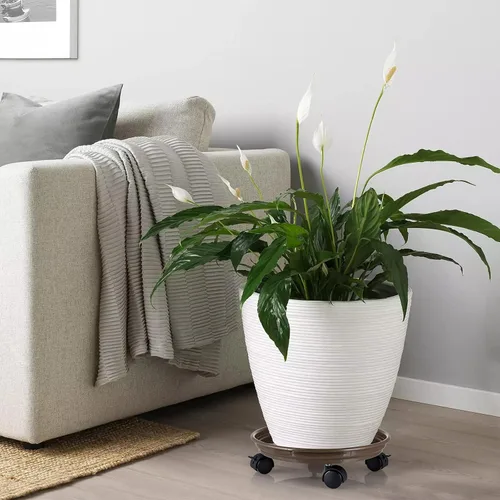 Vista 6 de Skelang Carrito para plantas de 11.8 pulgadas, palet para plantas con ruedas de freno, platillo para macetas móviles para plantas en interiores