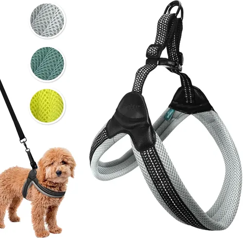 Vista 18 de Sporn Arnés de malla de fácil ajuste para perro de tamaño pequeño, color turquesa, tela suave, de nailon, sin estrangulamiento, arnés para perro